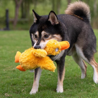 Best Pet Supplies Interactive Squeaky Dog Chew Toy, Ideal Dog Toys for Chewers, Small, Medium & Large Dogs, and Fetch Lovers - Ducky Doodle (Yellow), Small