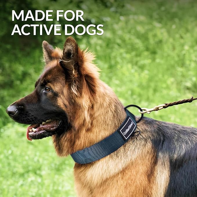 Heavy Duty Dog Collar for Large or Medium Dogs, Adjustable Strong Dog Collar for Active Dogs, Double-Layered Nylon (Dark Blue, 15-23)