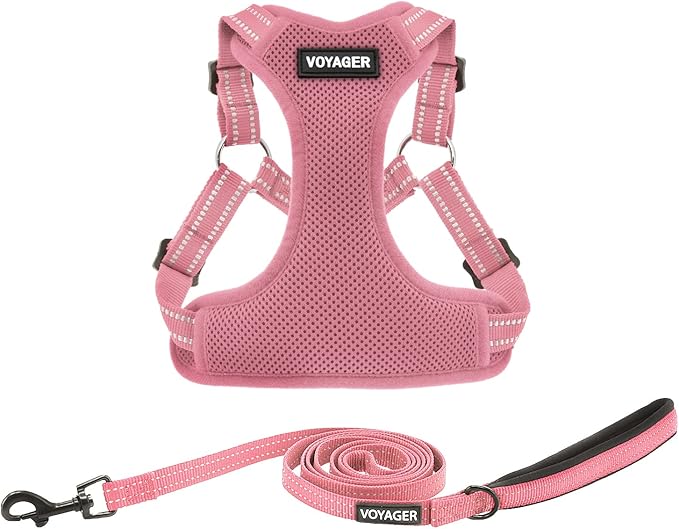 Best Pet Supplies Voyager Adjustable Step-in Flex Breathable Mesh Dog Harness for Small Medium Large Dogs Leash Set (Pink), S