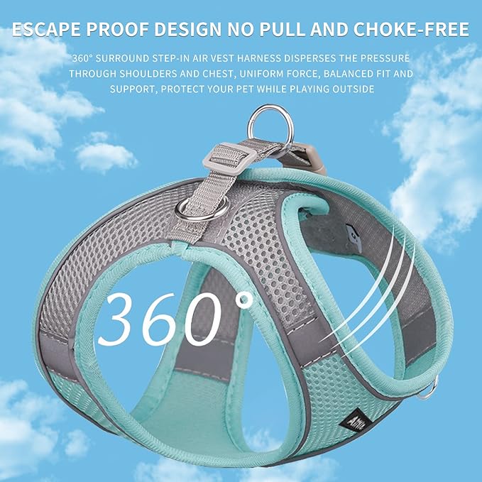 AIITLE Comfortable Dog Harness and Leash Set for Walking - Step in Vest Harness,Reflective Bands, Adjustable No Pull Puppy Essentials, for Small Dogs and House Cats Turquoise XS