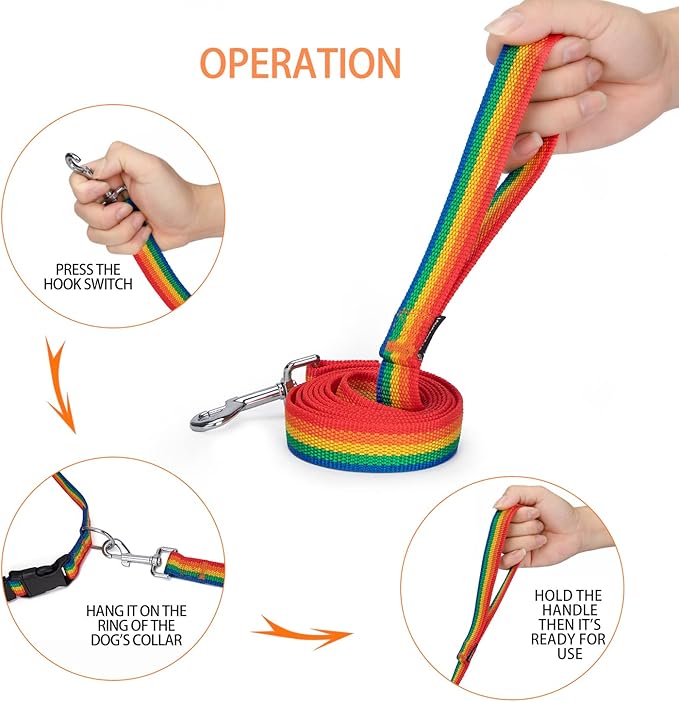 Siumouhoi Strong Durable 6 ft Nylon Dog Training Leash, 1 Inch Wide Traction Rope, for Small and Medium Dog (Rainbow, 6 Feet)