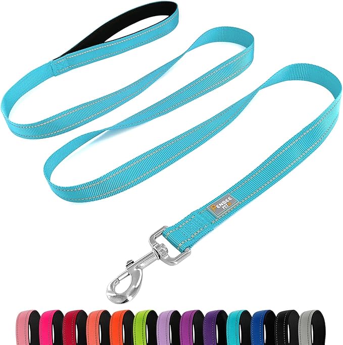 Dog Leash 6 FT Padded Handle Nylon Reflective Dogs Leashes for Small Dogs Sky Blue
