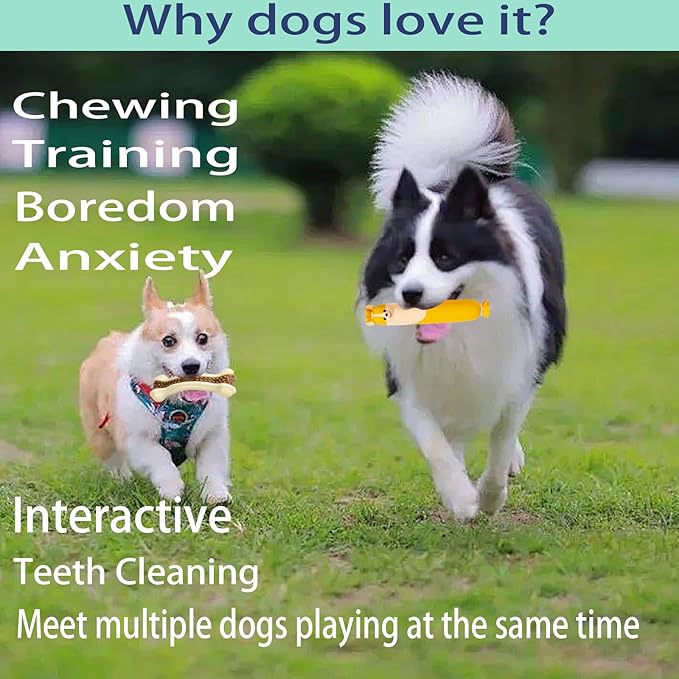 Dog Bone Chew+Latex Toys for Aggressive Chewers, 2 Pack Real Beef Flavor+1Pack Squeaky Funny Interactive Toys , Indestructible Teething Toys for Medium/Large/Small Breed, Toy With Durable Nylon