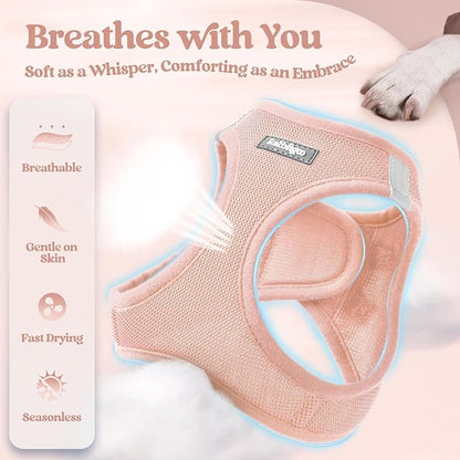 rabbitgoo Dog Harness Small Sized and Leash Set, Step in Soft Light Puppy Vest, Breathable Mesh Pet Harness, Reflective for Outdoor Safe Walking, Pink XXXS
