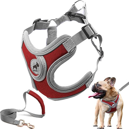 Dog Harness with Leash, Soft Adjustable Step in Reflective Strips Collars Harness Vest for Small Medium Dogs Training and Running (M, Red)