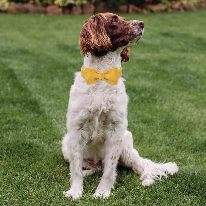 Yellow Dog Collars for Large Dog,Cute Corduroy Dog Collar with Bow Tie Safety Metal Buckle Adjustable Puppy Collars for Small Medium Large Boy&Girl Dogs,L-Neck 16"-24"