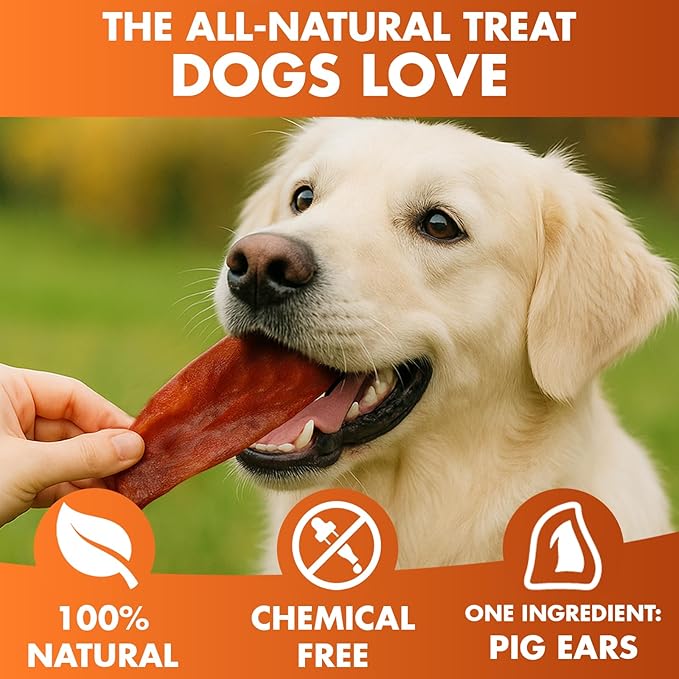 BRUTUS & BARNABY Whole Pig Ears for Dogs, 25 Ct. – All-Natural Single Ingredient Dog Chews, Slow Cooked & Fully Digestible Rawhide Alternative