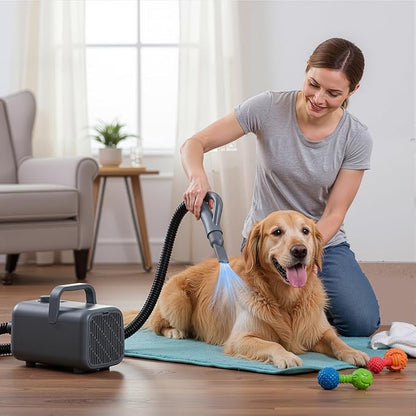 DUMOS Dog Blow Dryer Grooming Vacuum Kit, Cat Dog Hair Dryer with Adjustable Wind Speed & Heater Temperature, Cool-Warm-Hot Cycle Mode, 4 Nozzles, 6.5FT Cord for Low Noise Pet Hair Remover - Grey
