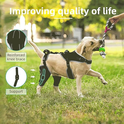 Dog Knee Brace for ACL/CCL Injuries,Torn Ligament,Luxating Patella - Rear Leg Support,Pain Relief,Joint Warmth,Black,Upgraded,Both Legs,Customized