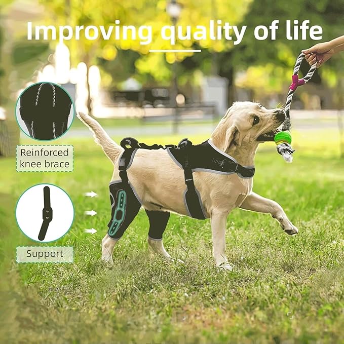 Dog Knee Brace for ACL/CCL Injuries,Torn Ligament,Luxating Patella - Rear Leg Support,Pain Relief,Joint Warmth,Black,Upgraded,Both Legs,Size:L