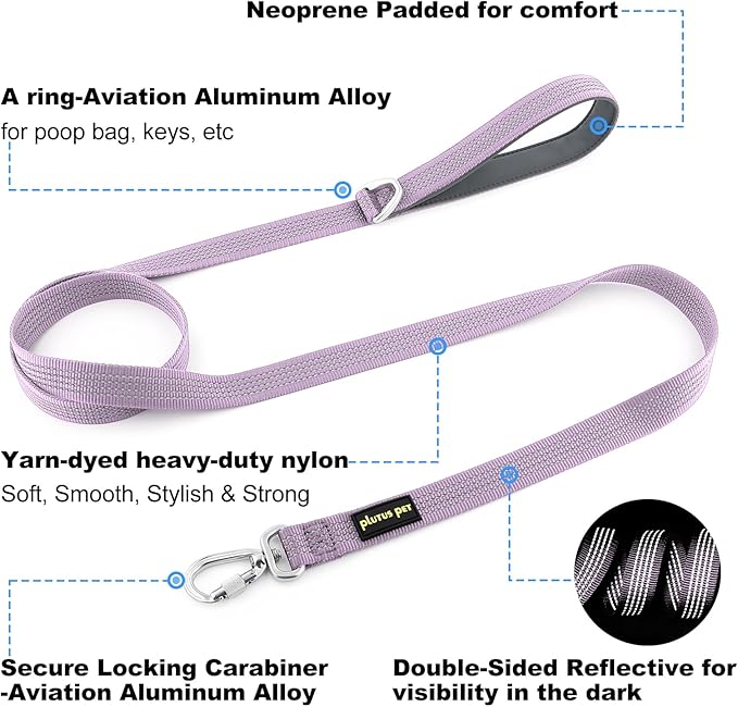 Plutus Pet Heavy Duty Dog Leash with Lockable Aluminum Carabiner, 4/6 Feet Long, Double-Sided Reflective Nylon, Padded Handle, for Puppy, Small, Medium and Large Dogs (Lilac Purple, 1" x 6')