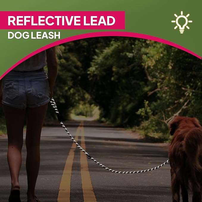 TwoEar 6FT Slip Lead Dog Leash, Heavy Duty Slip Leash for Dogs with Highly Reflective, Strong Rope Slip Leads No Pull Pet Training Leashes for Large Medium Dogs ( 1/2", Green )