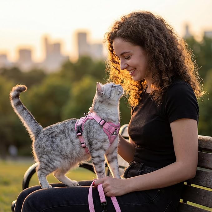 pangdi Cat Harness and Leash Set Escape Proof Tactical Medium Kitten Harness Emotional Support Cat Vest, Pink, M