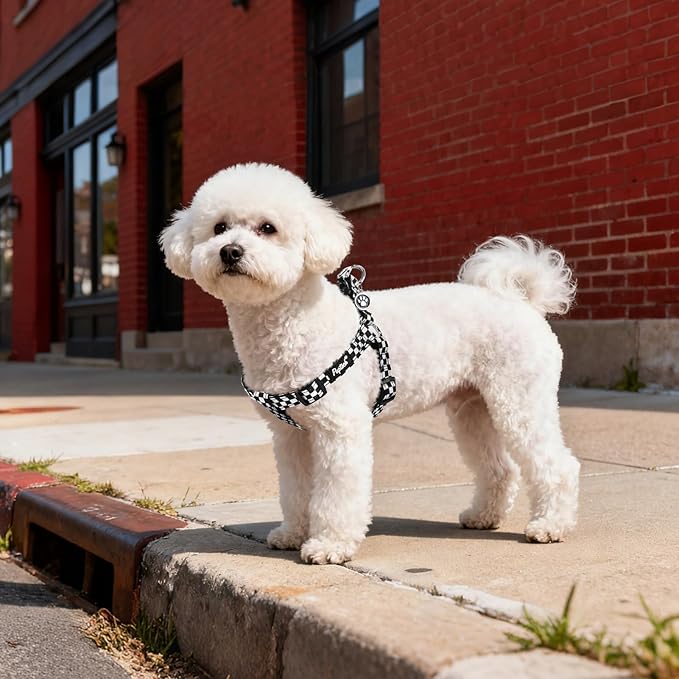 PUPTECK No Pull Dog Harness Soft Adjustable Basic Nylon Step in Puppy Vest Outdoor Walking with ID Tag, Checkered Black&White, S