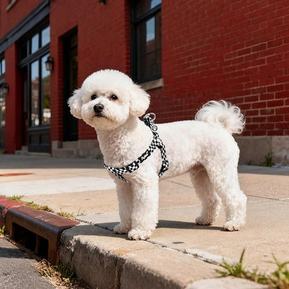 PUPTECK No Pull Dog Harness Soft Adjustable Basic Nylon Step in Puppy Vest Outdoor Walking with ID Tag, Checkered Black&White, S