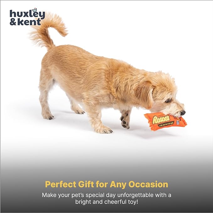 Huxley & Kent Funny Dog Toy w/Squeaker – Power Plush Squeaky Dog Toys for Small Dogs – Durable Small Stuffed Animal for Indoor Play & Fetch - Tiny Tuff Roscos