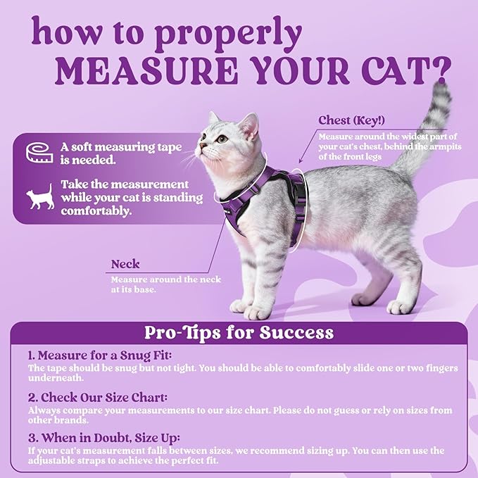 rabbitgoo Cat Harness and Leash for Walking, Escape Proof Soft Adjustable Vest Harnesses for Cats, Easy Control Breathable Reflective Strips Jacket, Purple, M