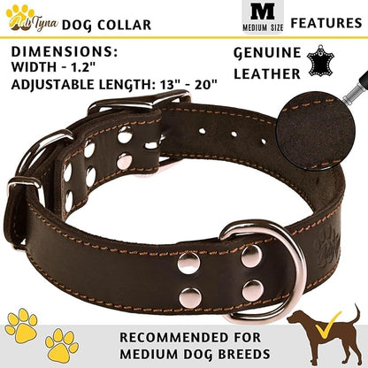 ADITYNA Heavy Duty Black Leather Dog Collar - Soft and Strong Medium Dog Collar for Walking, Training, Hiking, and Running (Medium: Fit 13" - 20" Neck, Black)
