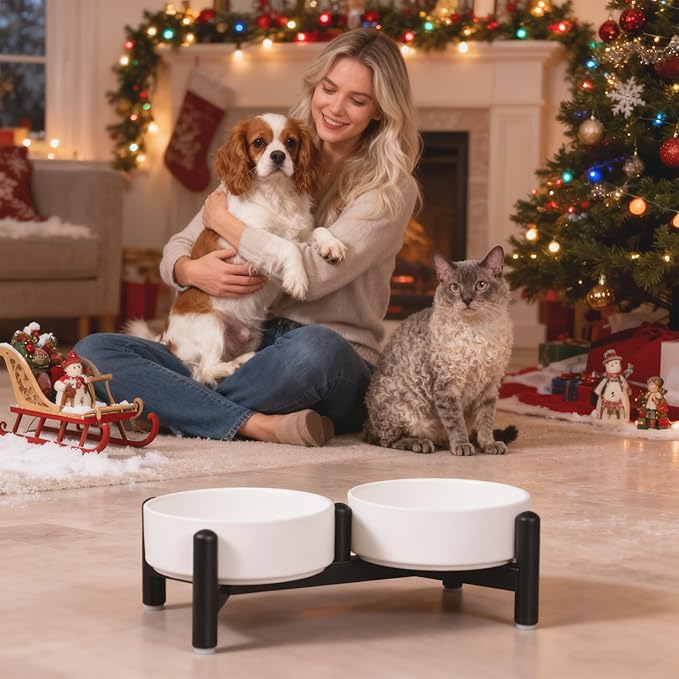 Raised Ceramic Dog Bowl Set - Elevated Double Dishes with Stainless Steel Stand - Food and Water Bowls for Small Dogs and Indoor Cats - Each Holds 2.1 Cups (14 fl oz) - White