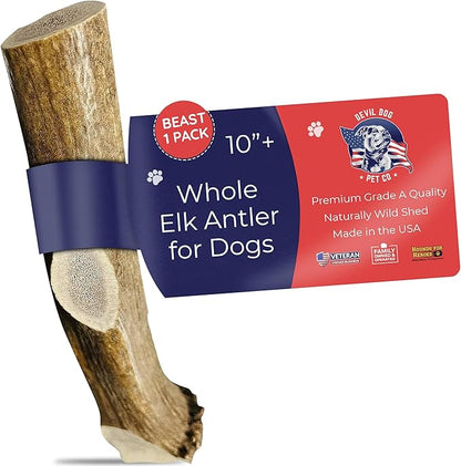 Devil Dog Pet Co. Elk Antlers for Dogs, Beast 10"+, 1 Pack, Grade A Long Lasting Chew for Aggressive Chewers, Premium USA Naturally Shed Antler – Healthy, No Odor, Durable Dog Chew