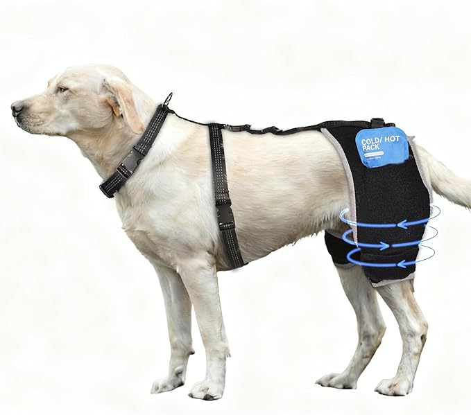 Dog Hip Dysplasia Brace with Removable Hot/Cold Pack — Breathable, Comfortable Hip & Rear-Leg Support for Mild ACL, Knee Instability & Mobility Comfort, Size L