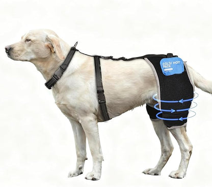 Dog Hip Dysplasia Brace with Removable Hot/Cold Pack — Breathable, Comfortable Hip & Rear-Leg Support for Mild ACL, Knee Instability & Mobility Comfort, Size L