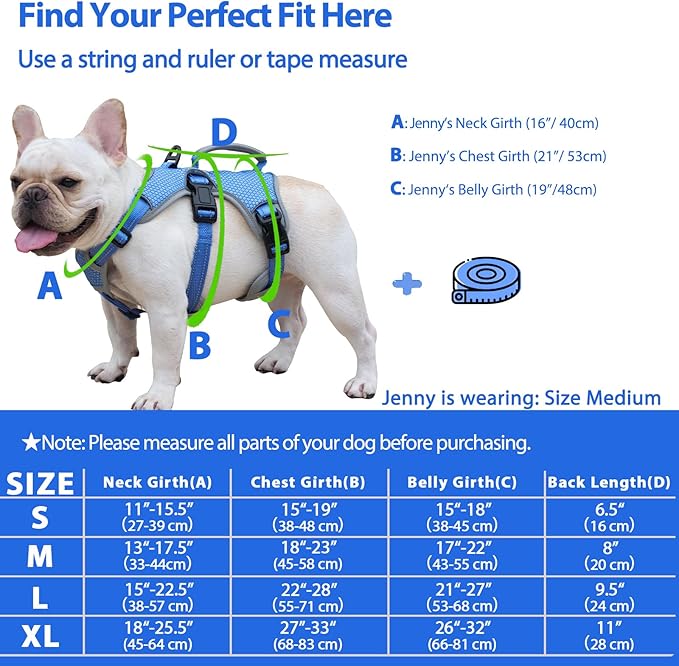 Huntboo Escape Proof Dog Harness, Escape Artist Harness, Reflective Dog Harness with Handle, Durable,Adjustable Vest for Small Medium Large Dogs Walking, Training, and Running Gear(Sea Blue,S)