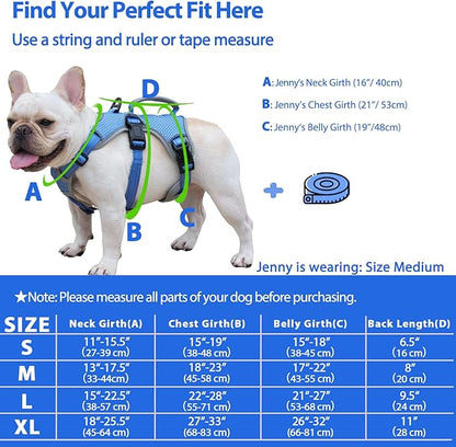 Huntboo Escape Proof Dog Harness, Escape Artist Harness, Reflective Dog Harness with Handle, Durable,Adjustable Vest for Small Medium Large Dogs Walking, Training, and Running Gear(Sea Blue,S)