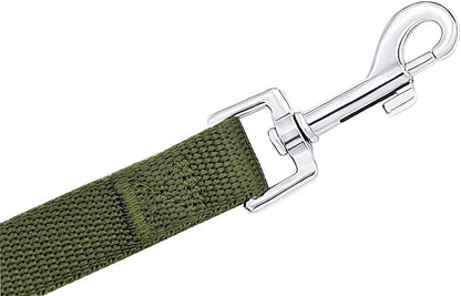 PETGOGO 15ft 20ft 30ft 40ft 50ft Long Dog/Puppy Lead Obedience Recall Training Dog Leashes for Small Medium Dogs Camping, Training, Play, or Backyard (50 FT, Green)