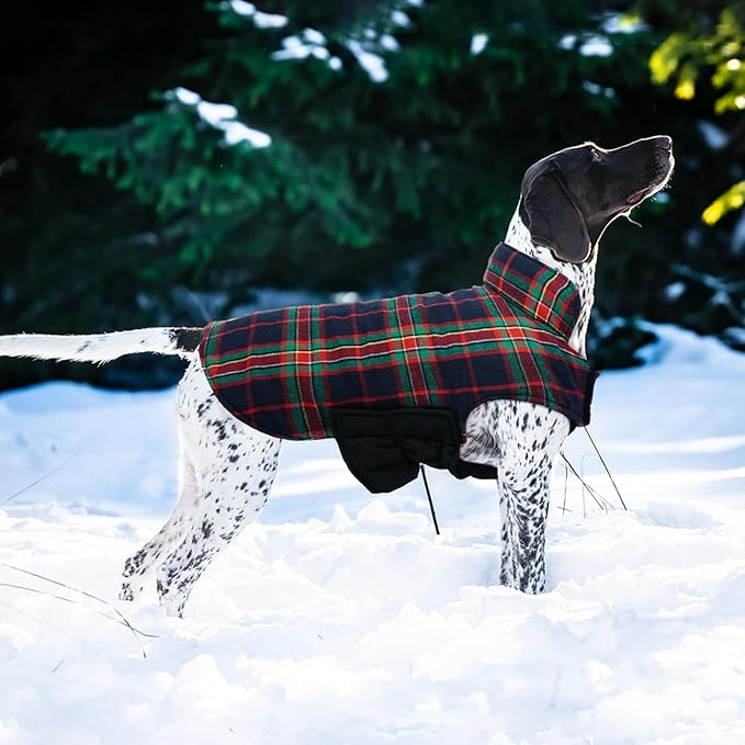 Kuoser Waterproof Dog Coat, Reversible Dog Jacket for Medium Dogs, Adjustable Durable Doggie Winter Coat Warm Puppy Cold Weather Apparel from Small to Large Breed, RoyalBlue M