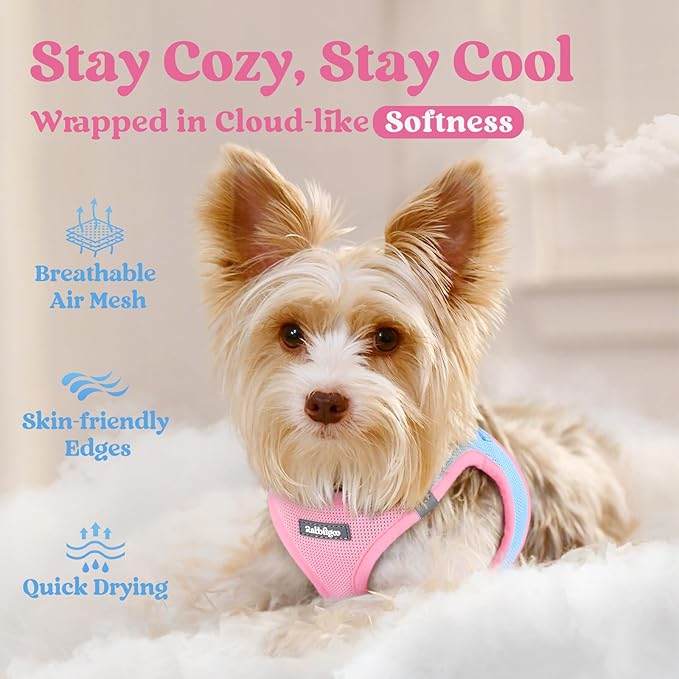 rabbitgoo Small Dog Harness, Step-in Soft Mesh Puppy Vest with Safety Buckle, Breathable Reflective Pet Harness for Small Medium Dogs, Blue & Light Pink L