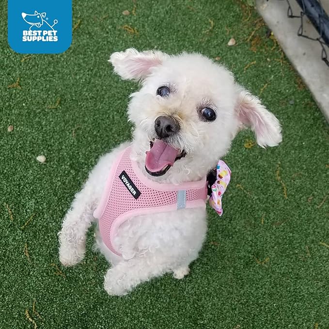 Best Pet Supplies Voyager Step-in Air Harness - All Weather Mesh, Reflective, No Pull Harness for Dogs, Cats - Secure with Hook & Loop Fastener, Buckle, Double D-Rings - Pink, XS