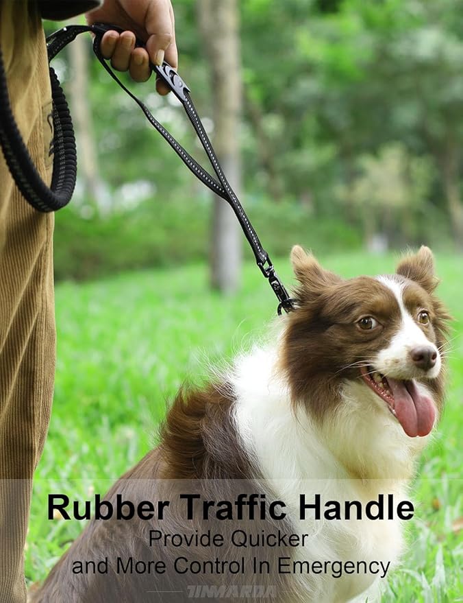 Heavy Duty Dog Leash, 4-6FT Shock Absorbing Dog Leashes with Traffic Handle and Comfortable Padded Handles, Advanced Easy Metal Clip, No Pull Reflective Leash for Medium Large Dogs That Pull (Black)