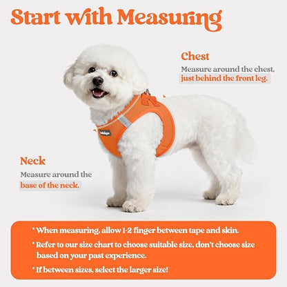 rabbitgoo Dog Harness Small Sized and Leash Set, Step in Soft Light Puppy Vest, Breathable Mesh Pet Harness, Reflective for Safe Easy Walking, Orange XXXS