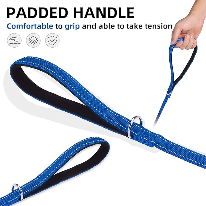 PUPTECK Reflective Dog Leash with Comfortable Padded Handle Durable Nylon Dog Lead for Small Medium and Large Dogs Cats Walking Running Training Outside, Blue