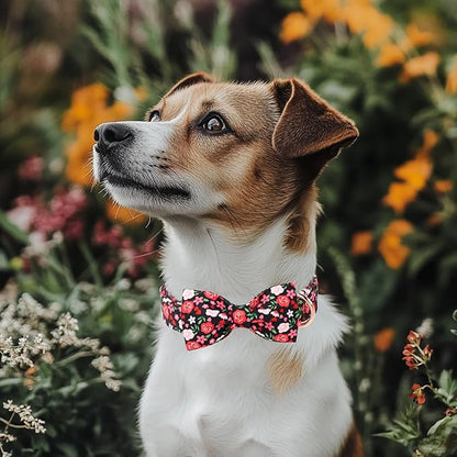 Floral Dog Collar with Bow Tie - Rose Red Wild Flowers Pattern Bowtie Puppy Collar, Adjustable Winter Heavy Duty Dog Collars for Small Medium Large Dogs M
