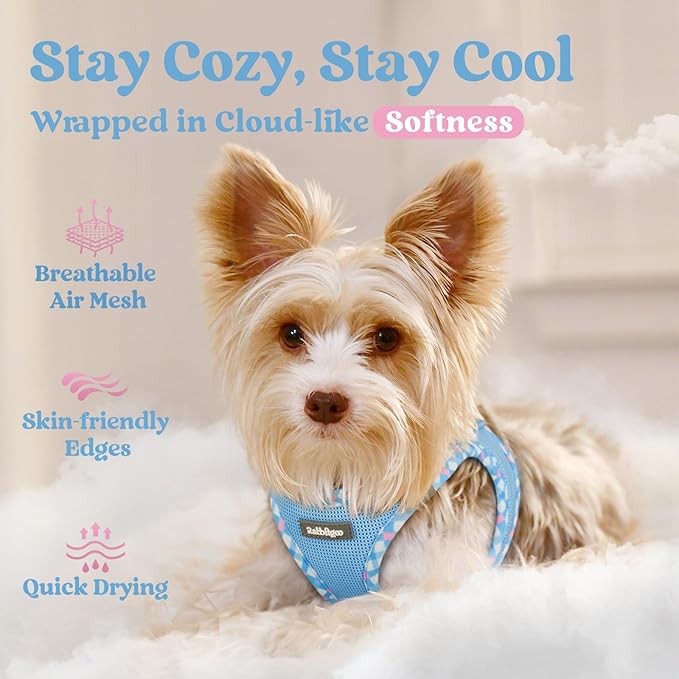 rabbitgoo Small Dog Harness, Step-in Soft Mesh Puppy Vest with Safety Buckle, Breathable Reflective Pet Harness for Small Sized Dogs, Blue & Plaid Trim M