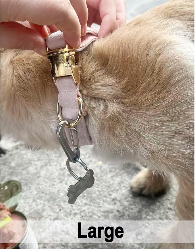 Dog Tag Clips / 2 Pack/Multiple Size 304 Stainless Steel Quick Clip with Rings/Easy Change Dog Cat ID Tag Holder for Small pet Collars and Harnesses.(2 Large Grey)