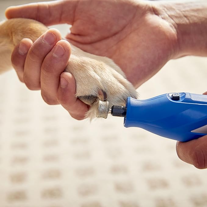 Dremel 416HP Diamond-Coated Rotary Nail Grinder Bit - Ideal for Dog Nail Grooming, Gentle with Precise Control
