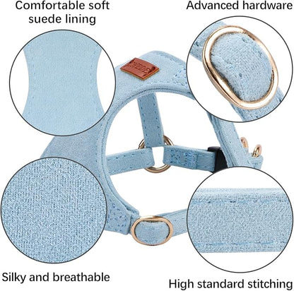 No Pull Dog Harness- Lightweight, Soft, Adjustable Small Harness Collar and Leash Set, Suitable for Cats Puppy Small and Medium-Sized Dog Outdoor Training and Running (Blue, XXS)