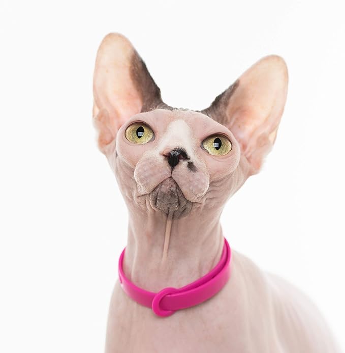 Breakaway Cat Collar - Soft, Comfortable, and Lightweight Safety Buckle Collar with Name Tag Ring for Outdoor Cats and Sensitive Skin Kittens by Nuvuq (6 ⅞" to 10 ¼", Pink)