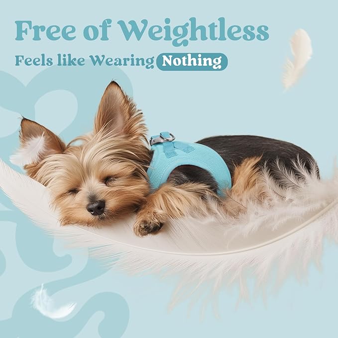 rabbitgoo Small Dog Harness, Step-in Soft Mesh Puppy Vest with Safety Buckle, Breathable Reflective Pet Harness for Large Dogs, Mint Blue XXL