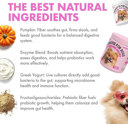 Probiotics for Dogs Natural Digestive Enzymes Prebiotics for Allergy Itch Relief Gut Flora Coprophagia Bowel Support Treatment Anti Diarrhea for Dogs Pet Health Immune System Support 30 Soft Chews
