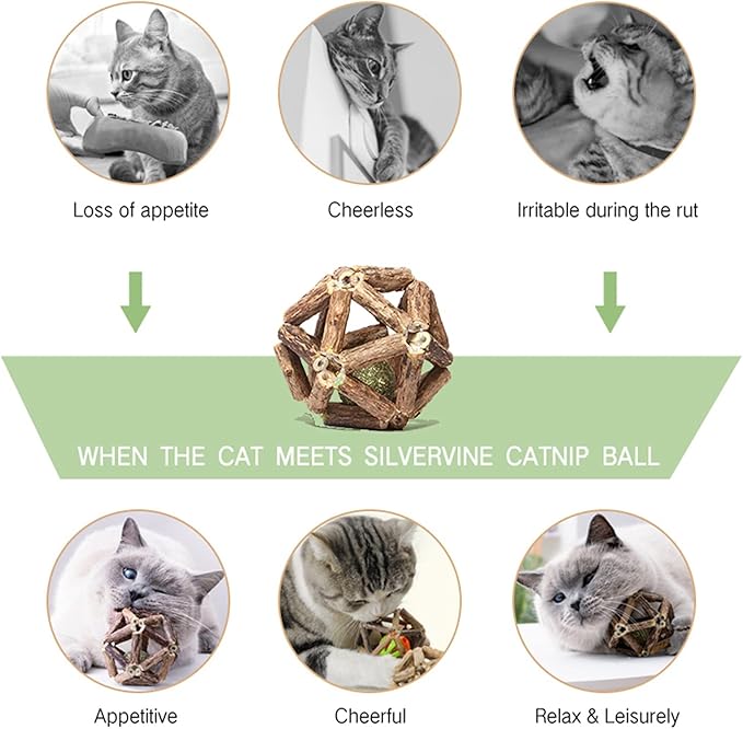 Gochanmon Catnip Toys-2Pcs Natural Silvervine Stick Catnip Ball&Bell Ball-Cat Toys for Indoor Cats- Cleaning Teeth Molar Tools Matatabi Cat Chew Toy-Kitten Toys All Breeds
