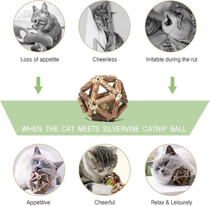 Gochanmon Catnip Toys-2Pcs Natural Silvervine Stick Catnip Ball&Bell Ball-Cat Toys for Indoor Cats- Cleaning Teeth Molar Tools Matatabi Cat Chew Toy-Kitten Toys All Breeds