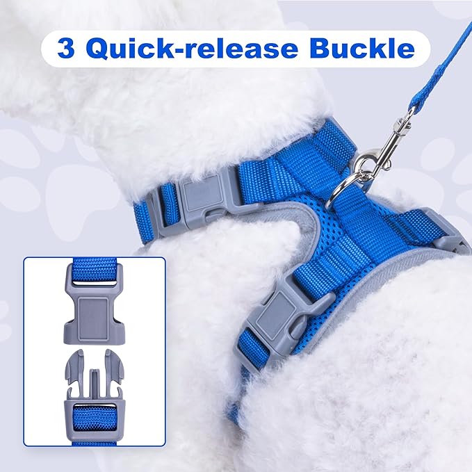 Small Dog Harness and Leash Set, No Pull Adjustable Pet Harness for Small Dogs, Breathable Mesh Rflective Dog Vest Harness (Blue, XXS)