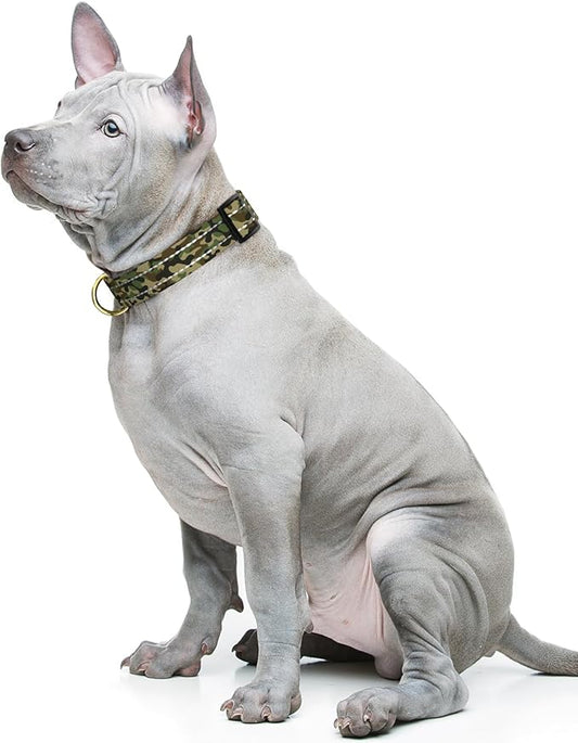 MOODEL Reflective Dog Collar for Medium Dogs, Cute Camouflage Adjustable Heavy-Duty Nylon Puppy Collar for Boy and Girl Female, Soft Pet Accessories with Quick Release Buckle, Green