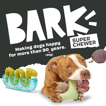 Barkbox Sven The Hedgie Super Chewer Dog Toy | Natural Rubber, Wacky Bounce & Rippled Texture | Durable Dog Toy for Aggressive Chewers, Medium to Large Dogs
