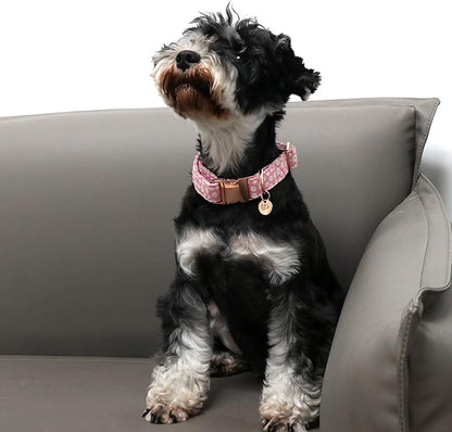 UP URARA PUP Daisy Summer Cotton Dog Collar with Metal Buckle Gift Pink Collar for Small Medium Large Girls or Boys Dogs Cute Durable Comfortable Pet Collars