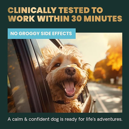 VetriScience Calm & Confident Chews, Composure Clinically Tested Calming and Anxiety Supplement for Small Dogs Under 30 lbs, Reduce Stress, Ideal for Thunderstorms and Fireworks, Chicken, 30 Count